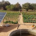 L’irrigation solaire pour sauver l&rsquo;agriculture en Tunisie