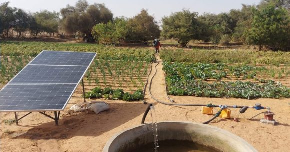 L’irrigation solaire pour sauver l&rsquo;agriculture en Tunisie