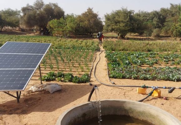 L’irrigation solaire pour sauver l&rsquo;agriculture en Tunisie