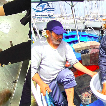 Monastir | Nouveau sauvetage d&rsquo;une tortue baptisée « Israa »