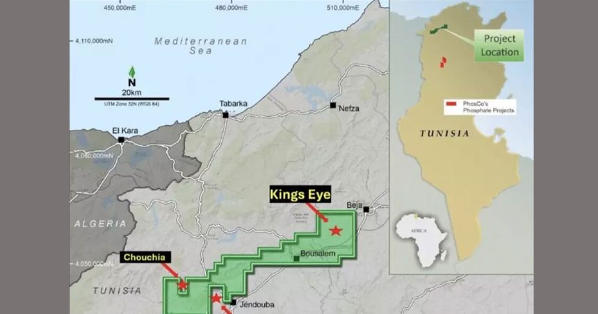 Tunisie | Découverte de précieux minerais à Aïn El Bey