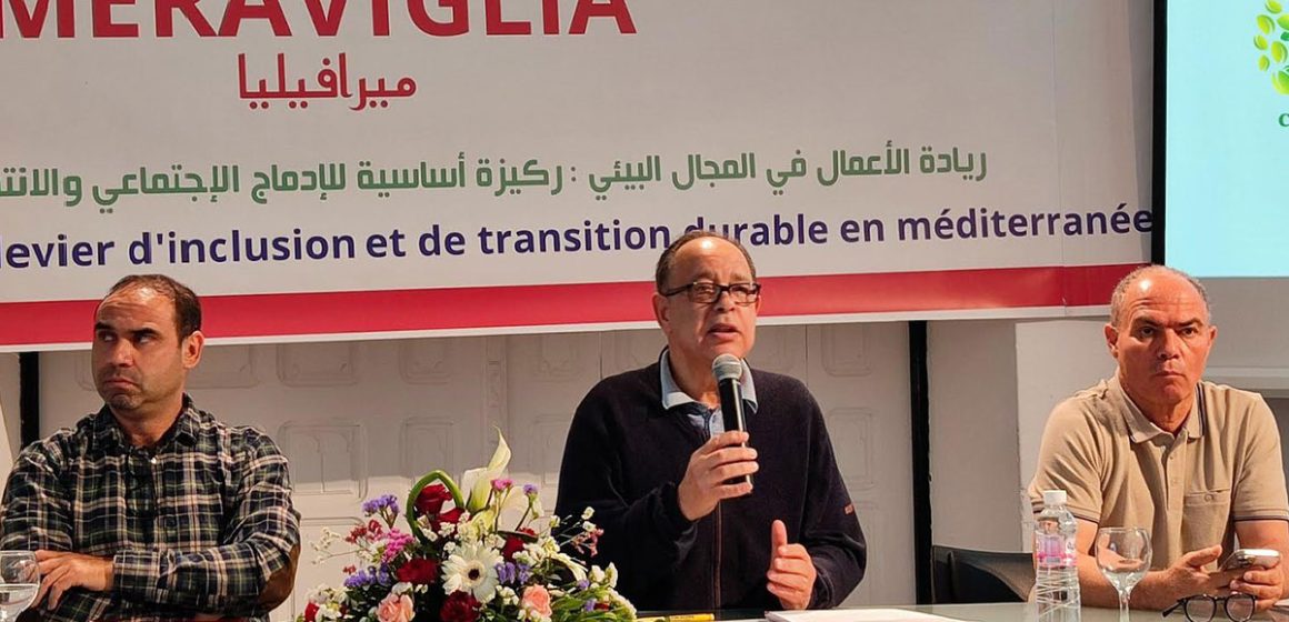 «Meraviglia» | Appui à l’entrepreneuriat vert en Tunisie