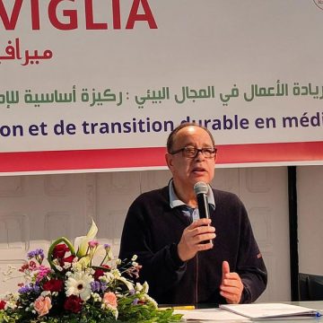 «Meraviglia» | Appui à l’entrepreneuriat vert en Tunisie