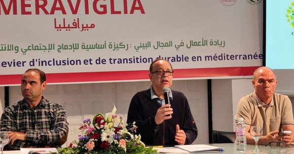 «Meraviglia» | Appui à l’entrepreneuriat vert en Tunisie