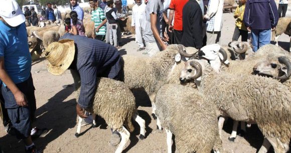 La théorie des prix appliquée au mouton de l’Aïd