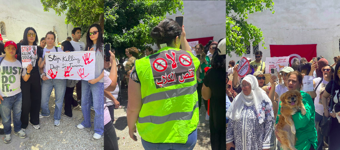 Tunisie | Rassemblement contre l&rsquo;abattage des chiens errants