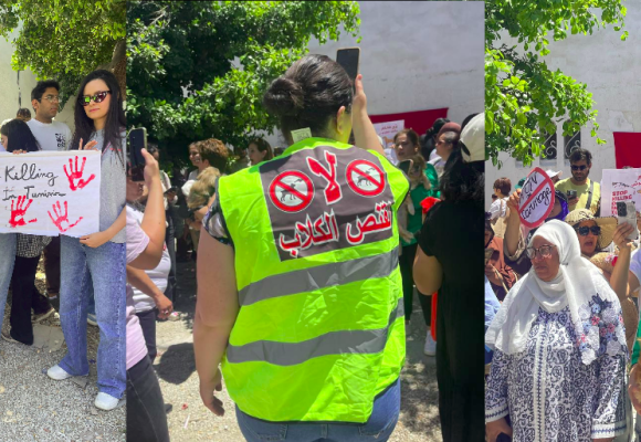 Tunisie | Rassemblement contre l&rsquo;abattage des chiens errants