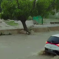 Pluies en Tunisie | Record enregistré à Kasserine ce vendredi