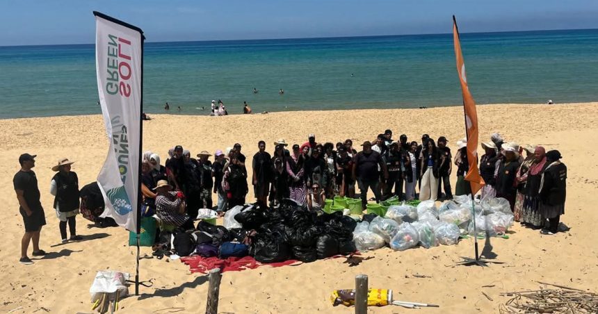 Tunisie | 13 000 mètres cubes de déchets ramassés sur les plages
