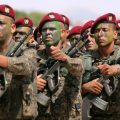 70e anniversaire de l’armée tunisienne | Neutralité politique et loyauté à l’Etat