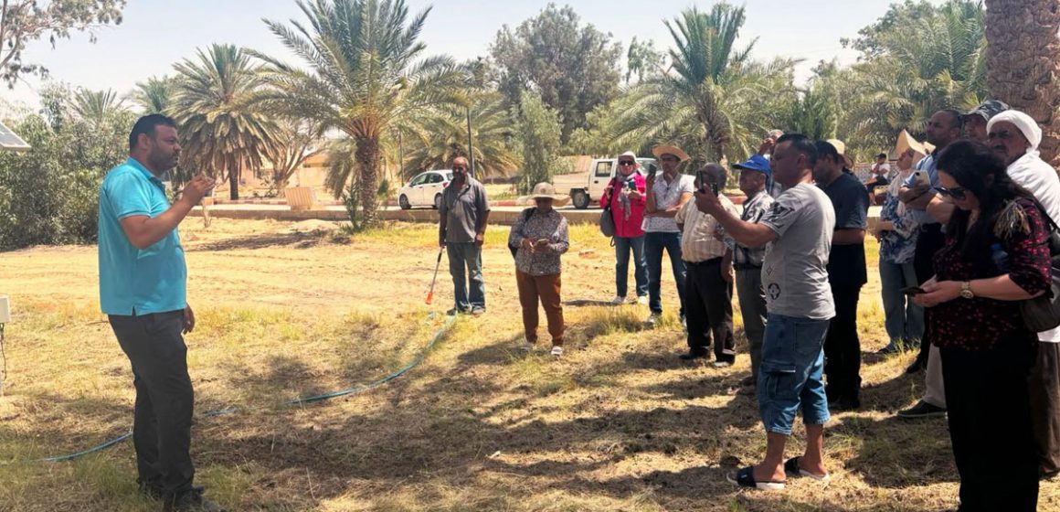 Le projet Biorest pour améliorer la qualité des dattes bio tunisiennes