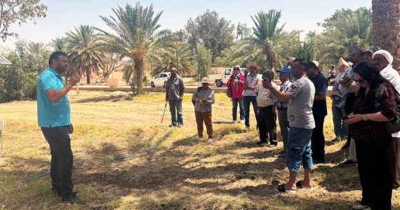 Le projet Biorest pour améliorer la qualité des dattes bio tunisiennes