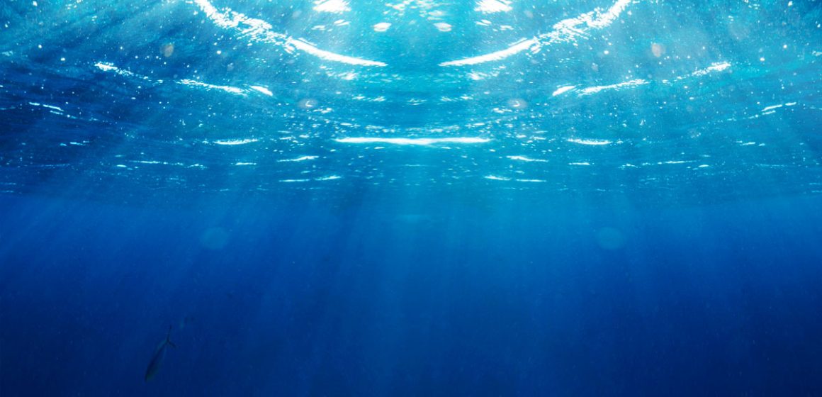 Hausse anormale de la température de l’eau en Méditerranée