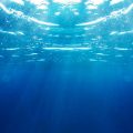 Hausse anormale de la température de l’eau en Méditerranée