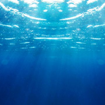 Chaleur-marine Hausse anormale de la température de l’eau en Méditerranée
