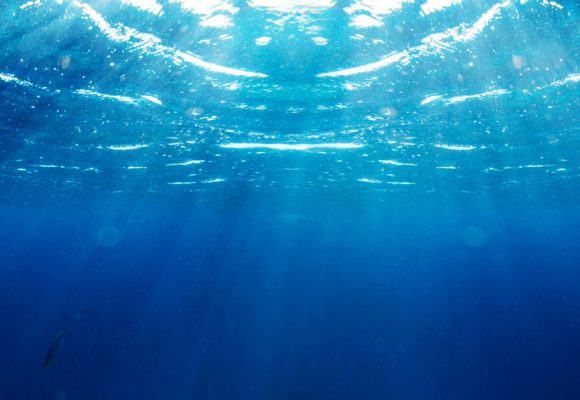 Hausse anormale de la température de l’eau en Méditerranée