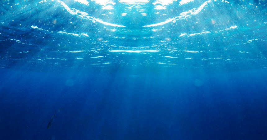 Hausse anormale de la température de l’eau en Méditerranée