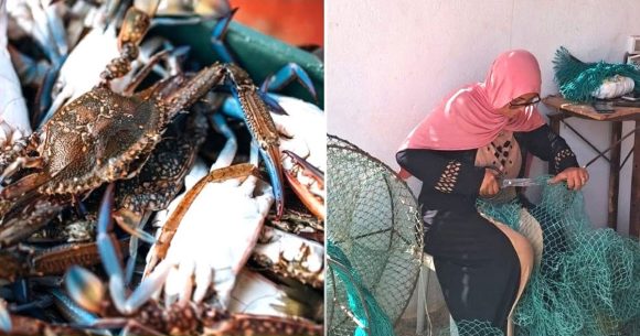 La protection de la filière du crabe bleu en Tunisie