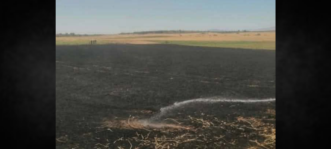 Incendie à Testour Incendie à Testour | 3,5 hectares ravagés par les flammes