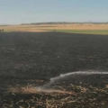 Incendie à Testour | 3,5 hectares ravagés par les flammes