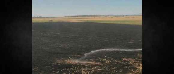 Incendie à Testour Incendie à Testour | 3,5 hectares ravagés par les flammes