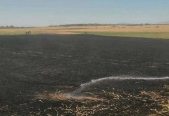 Incendie à Testour | 3,5 hectares ravagés par les flammes