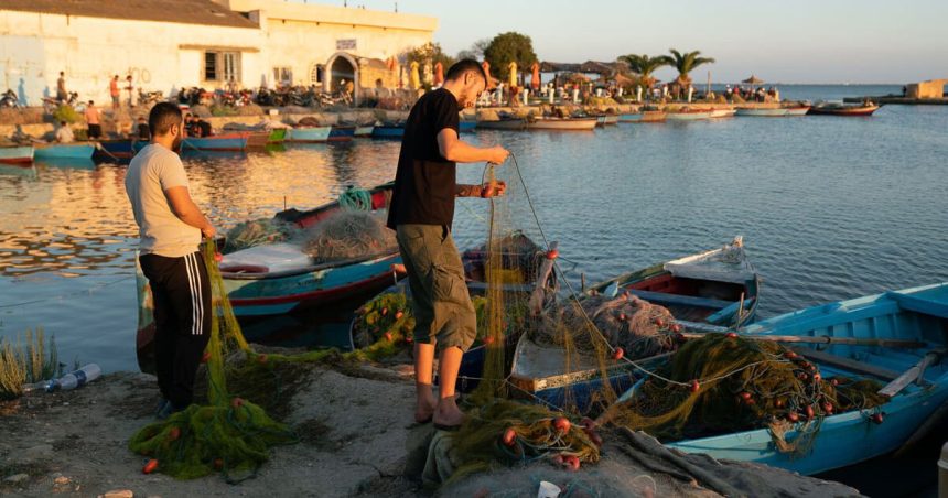 Le blues des pêcheurs tunisiens de crevettes    