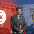 Tunisie | Slim Laghmani juge au tribunal international du droit de la mer