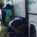130 migrants illégaux transférés à El-Amra pour être rapatriés