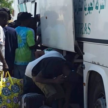 130 migrants illégaux transférés à El-Amra pour être rapatriés