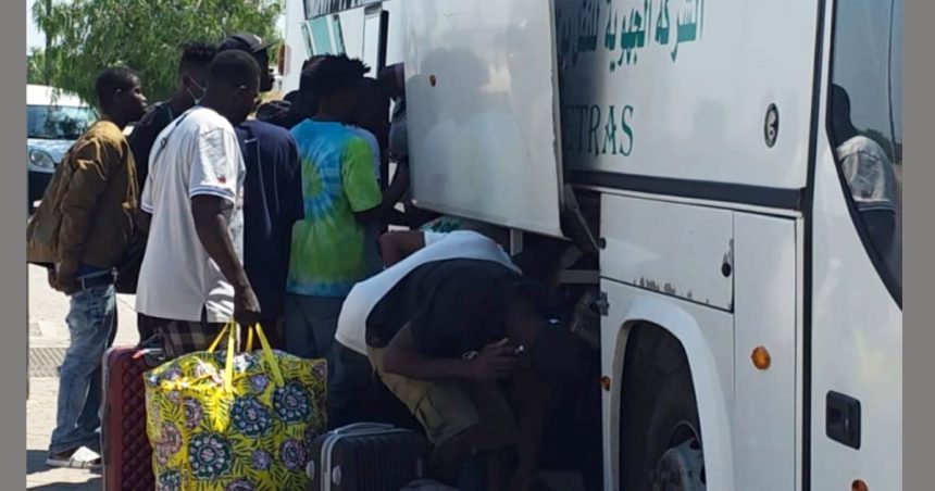 Transferts-de-migrants-subsahariens 130 migrants illégaux transférés à El-Amra pour être rapatriés