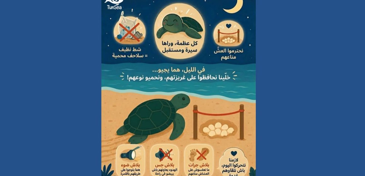 TunSea-Tortues-marines Guide pour la sauvegarde des tortues marines en Tunisie