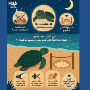 Guide pour la sauvegarde des tortues marines en Tunisie