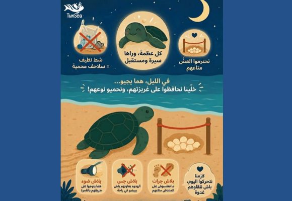 Guide pour la sauvegarde des tortues marines en Tunisie