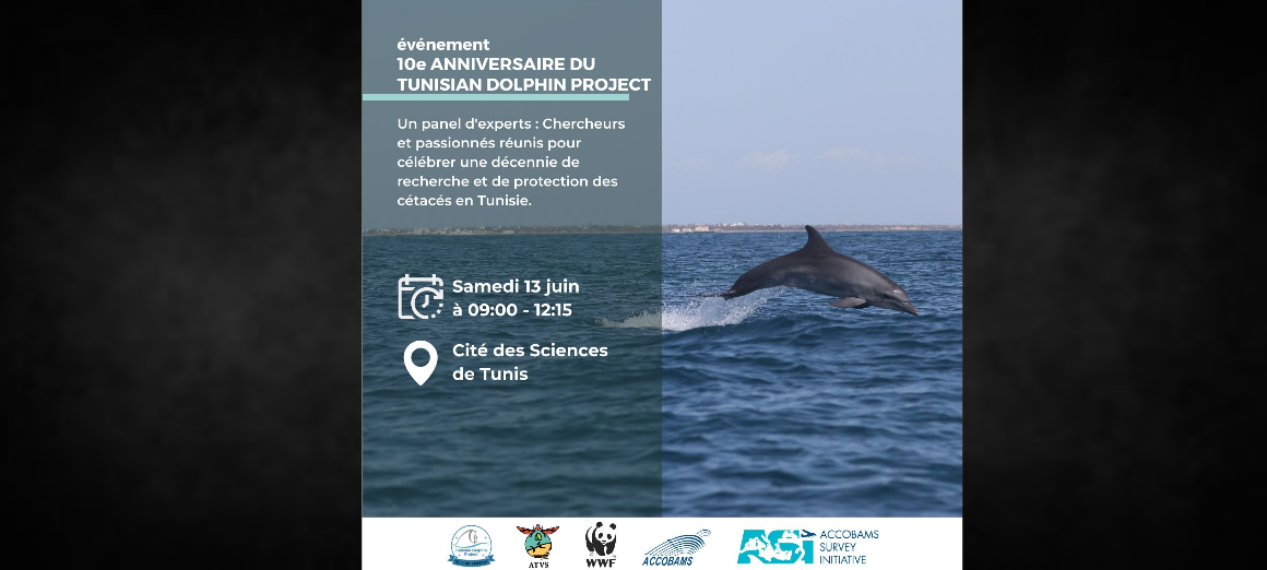 Tunis | Le Tunisian dolphin project fête ses 10 ans ce samedi à la CST