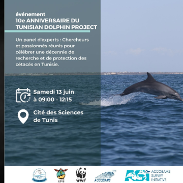 Tunisian dolphin project Tunis | Le Tunisian dolphin project fête ses 10 ans ce samedi à la CST