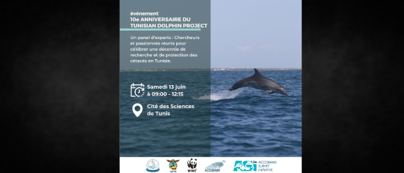 Tunisian dolphin project Tunis | Le Tunisian dolphin project fête ses 10 ans ce samedi à la CST