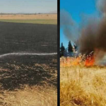 incendie Jendouba Jendouba | Un incendie ravage un hectare de blé à Bousalem
