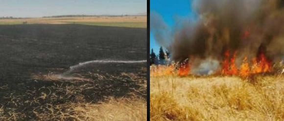 incendie Jendouba Jendouba | Un incendie ravage un hectare de blé à Bousalem