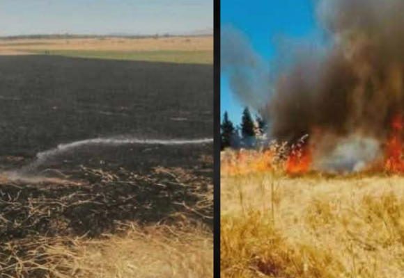 Jendouba | Un incendie ravage un hectare de blé à Bou Salem