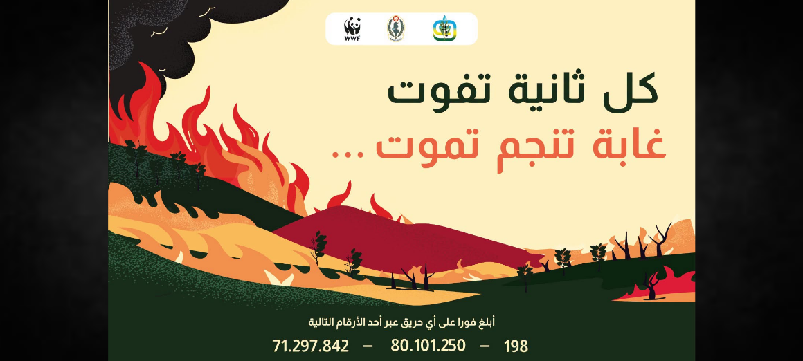incendies de forêt Tunisie | Campagne nationale de prévention contre les incendies de forêt