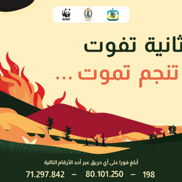 Tunisie | Campagne nationale de prévention contre les incendies de forêt