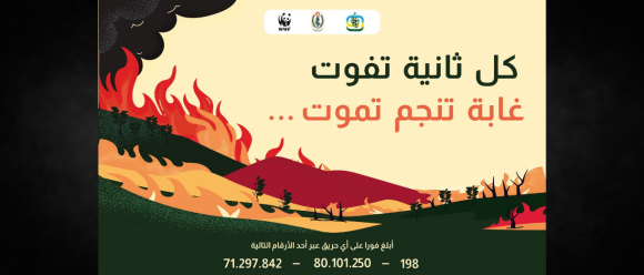 incendies de forêt Tunisie | Campagne nationale de prévention contre les incendies de forêt