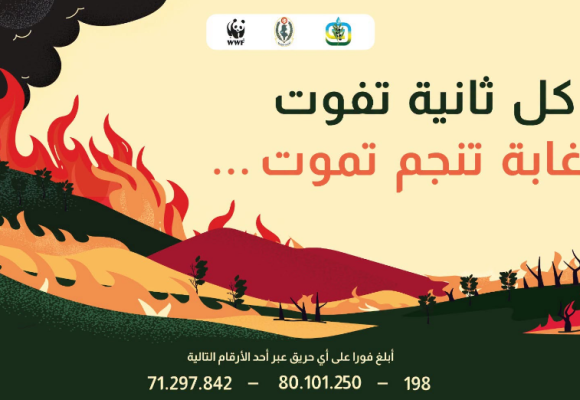 Tunisie | Campagne nationale de prévention contre les incendies de forêt