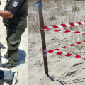Littoral | Un nid de tortue marine sous haute protection à Monastir
