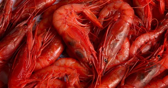 Crevettes-rouges Crevette rouge | Bruxelles appelle Tunis à respecter ses quotas de pêche