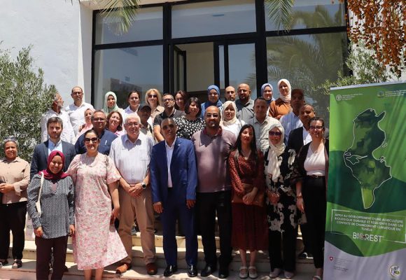 Renforcement de la résilience climatique des exploitations agricoles en Tunisie