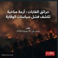 Feux de forêts | Le FTDES pointe les carences du système forestier en Tunisie