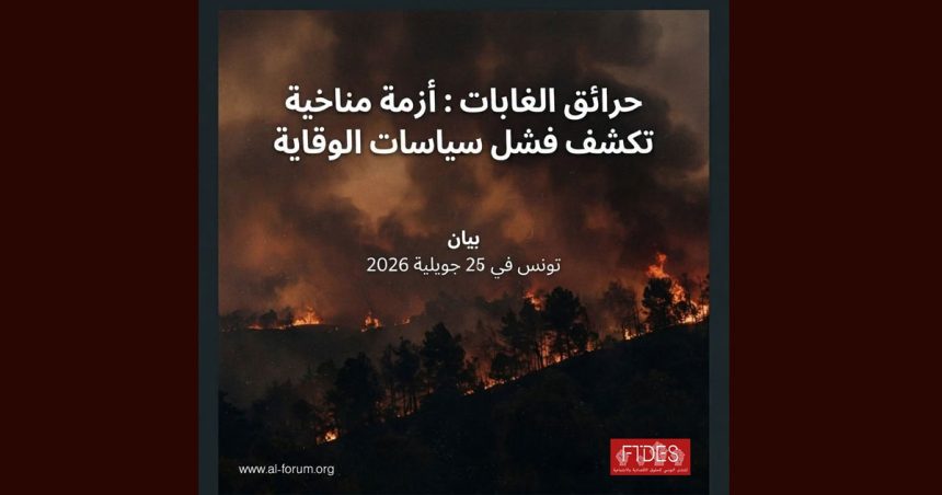 Feux de forêts | Le FTDES pointe les carences du système forestier en Tunisie
