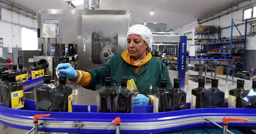 Huile-Olive-en-bouteille L’huile d’olive tunisienne échappe aux surtaxes imposées par Trump